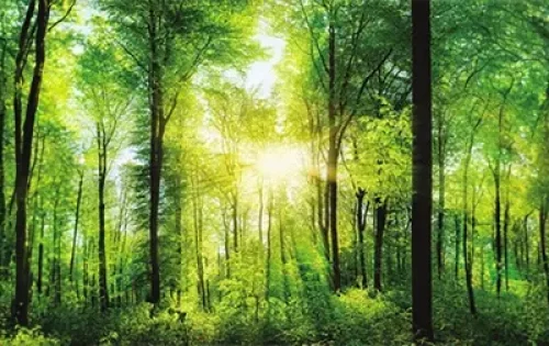 1zqgs_UaF5ONh7r8sUIoeA