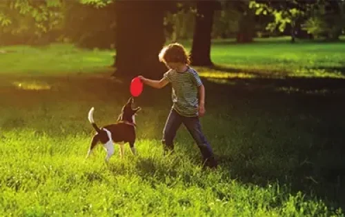 TXaNgZWG1SfORIpoFvqIfA