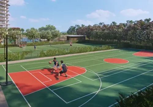 basketball-y2zB22xggqCnsUcW4_hfKw