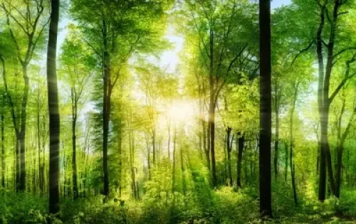 tw24avPFa4l54LOiGzg-3g